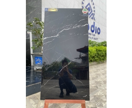 Gạch ốp lát Apodio 61199902