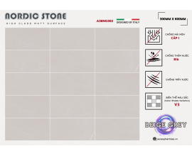 Gạch ốp lát Apodio A36NG302 (Matt)