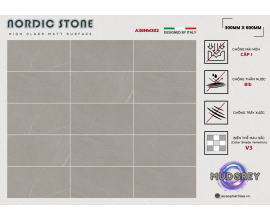 Gạch ốp lát Apodio A36NM302 (Matt)